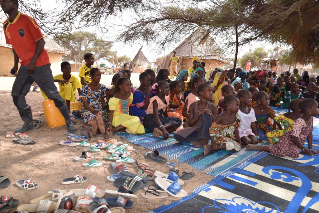 Dado y la Huerta Mágica - Trastero 203 3