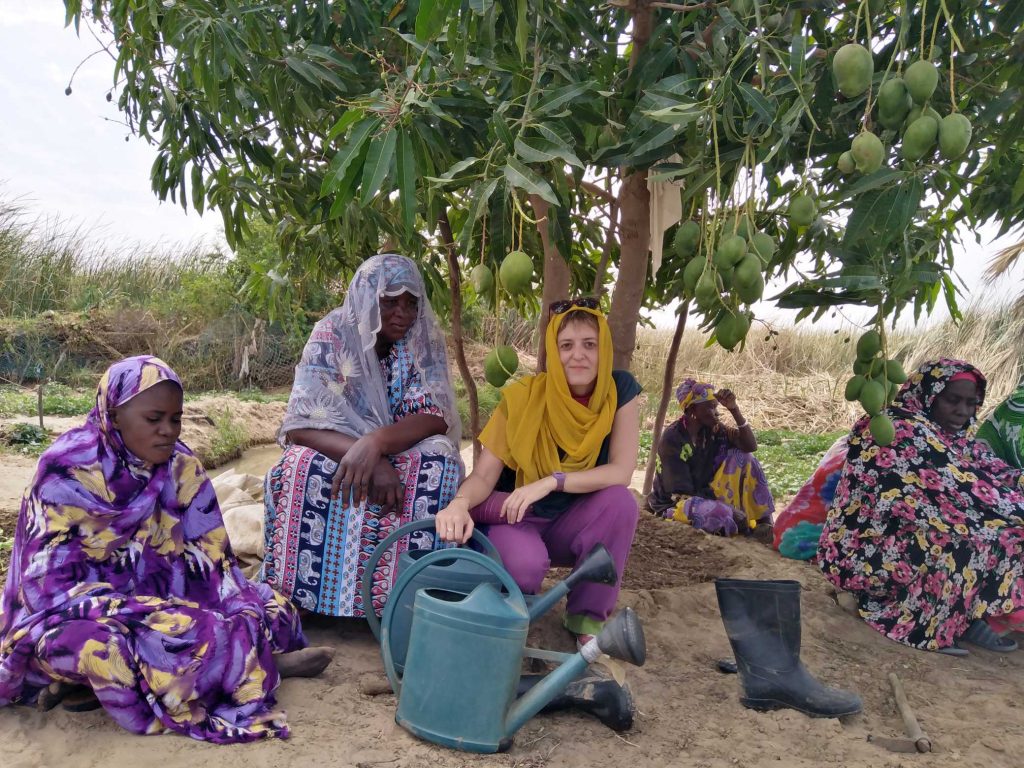 Dado y la Huerta Mágica - Trastero 203 6