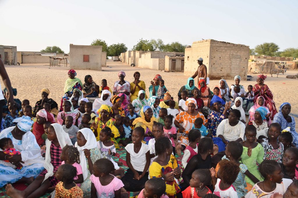 Dado y la Huerta Mágica - Trastero 203 7